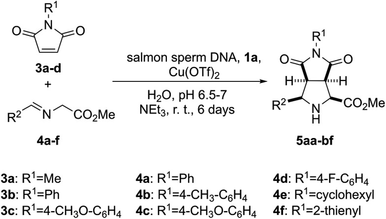 Scheme 2