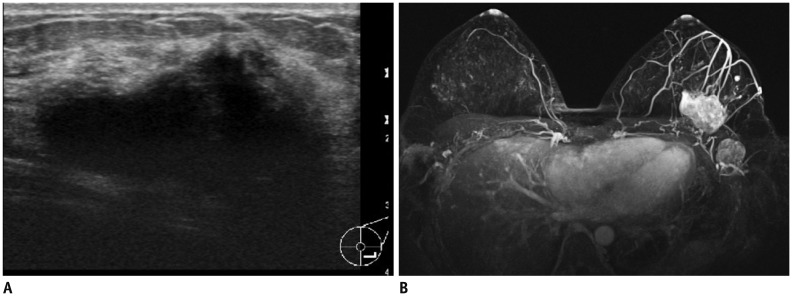 Fig. 20