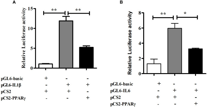 Figure 6