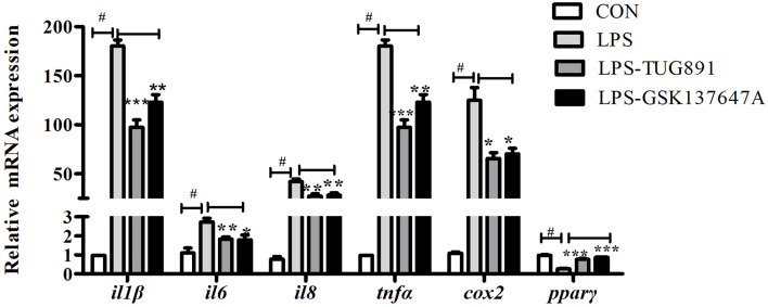 Figure 2