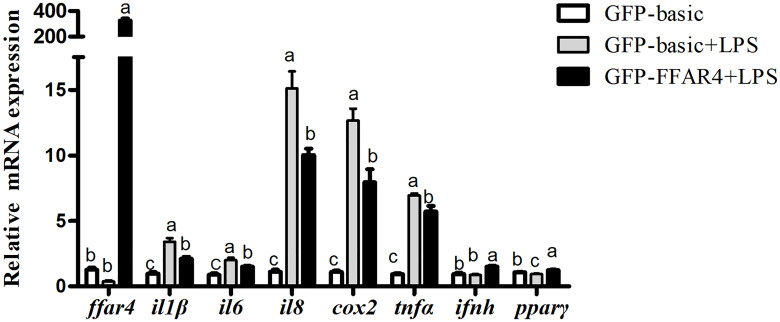 Figure 4