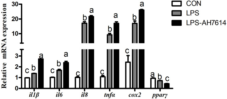 Figure 3