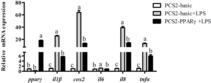 Figure 5