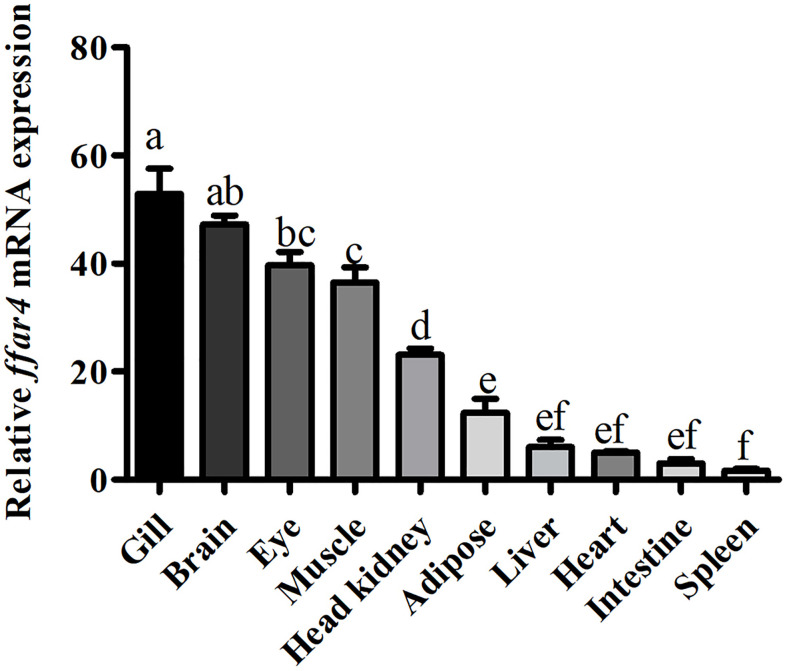 Figure 1