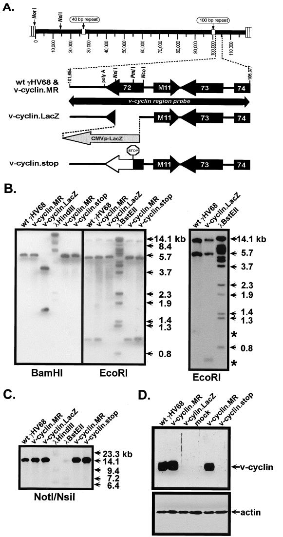 FIG. 1