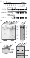 FIG. 1