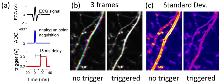 Fig. 4