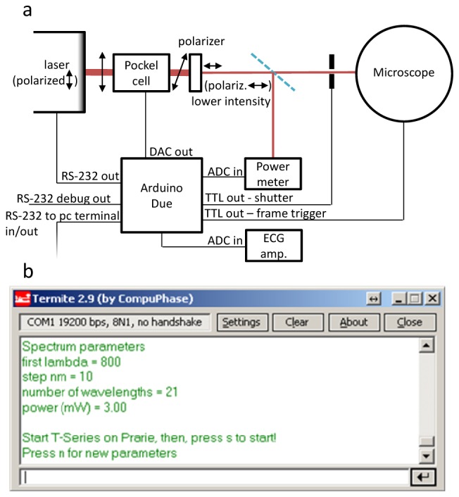 Fig. 1