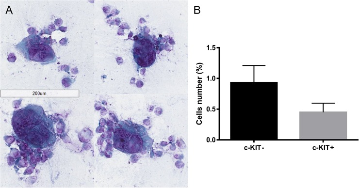 Fig 9