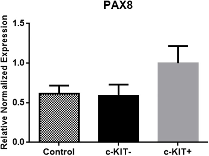 Fig 10