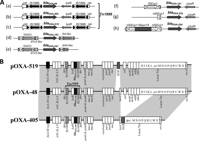 FIG 1