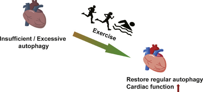 Image, graphical abstract