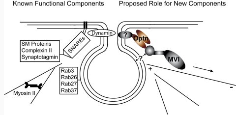 FIGURE 7: