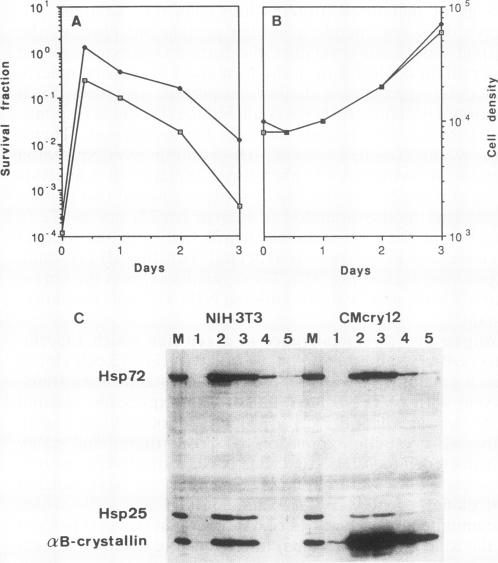 graphic file with name molcellb00015-0526-a.jpg