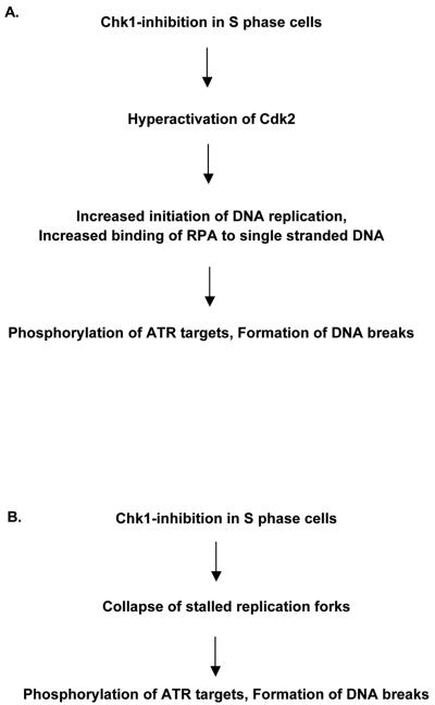 FIG. 6.