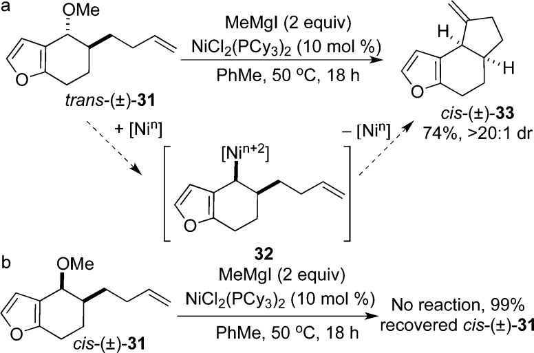 Scheme 4