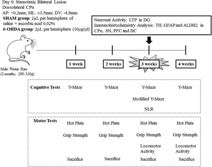 Figure 1.