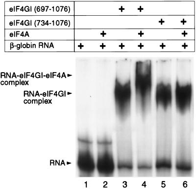 FIG. 6