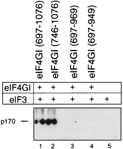 FIG. 8