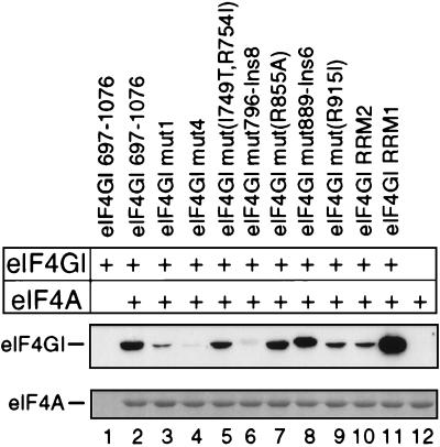 FIG. 7