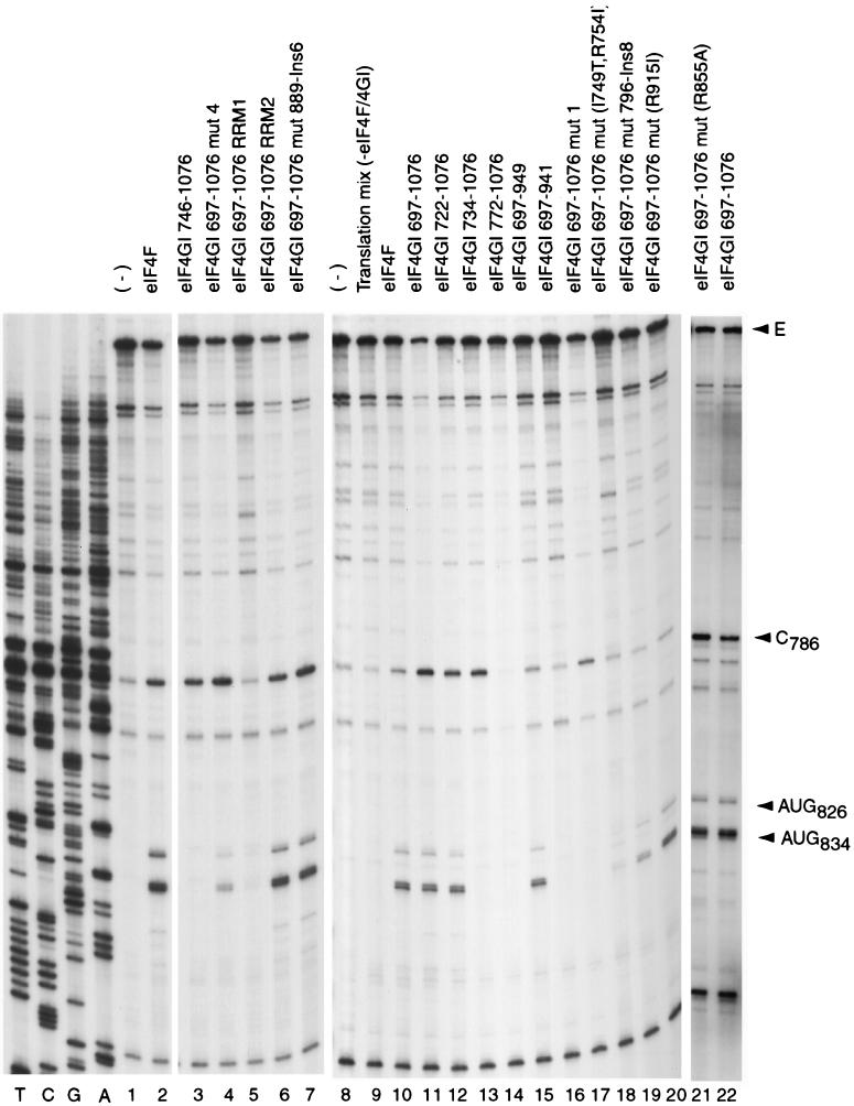 FIG. 4