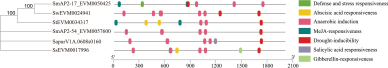 Fig. 2