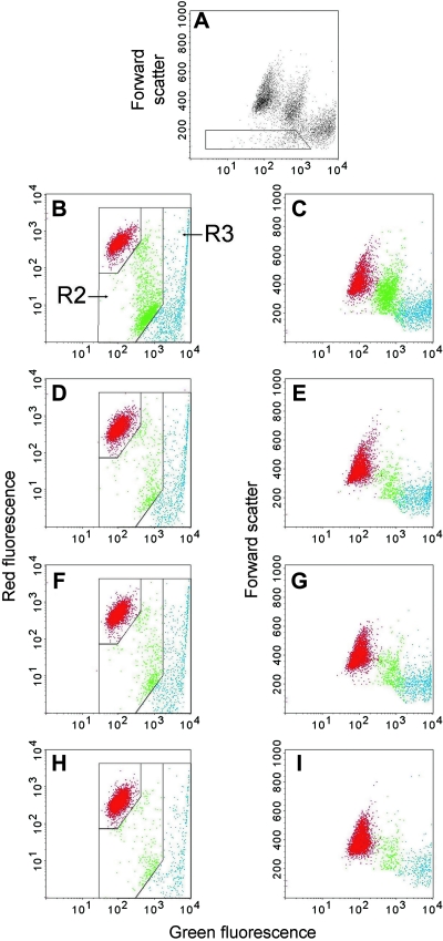 FIG. 1.