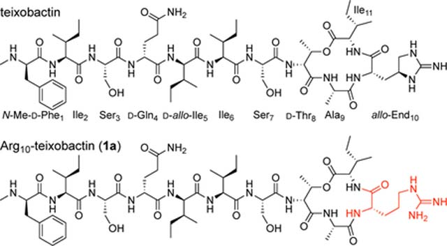 graphic file with name nihms-1659940-f0002.jpg