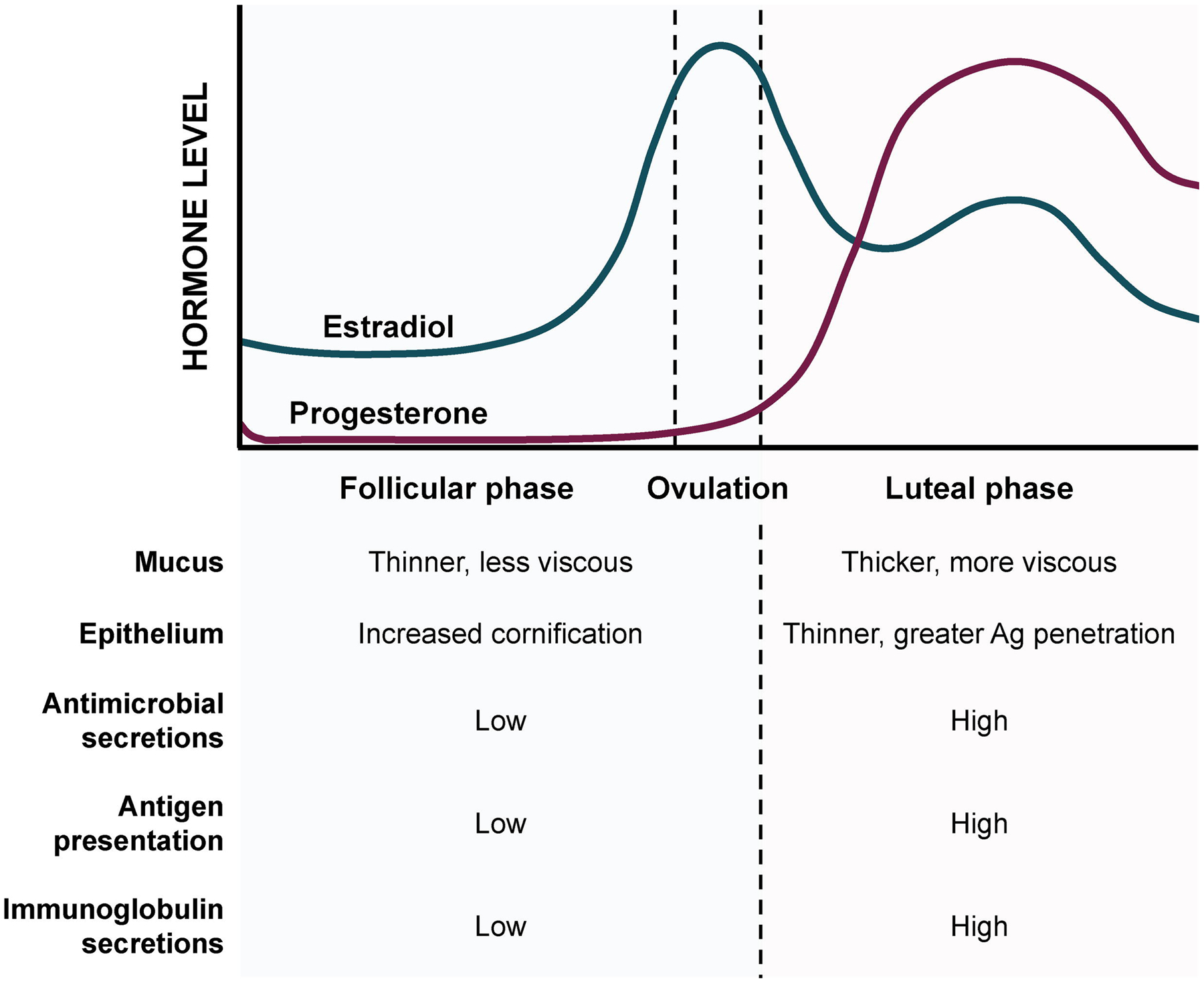 Figure 3: