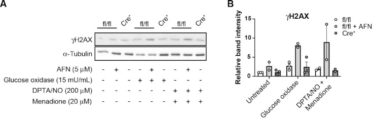 Figure 3: