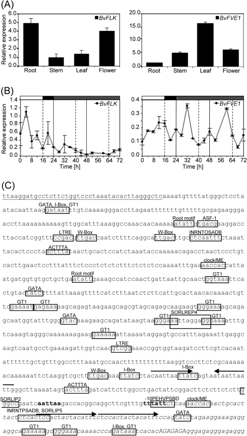 Fig. 4.