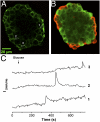 Fig. 7.