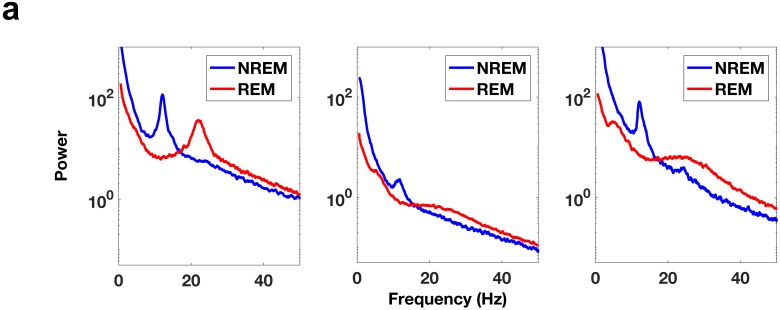 Figure 3—figure supplement 2.