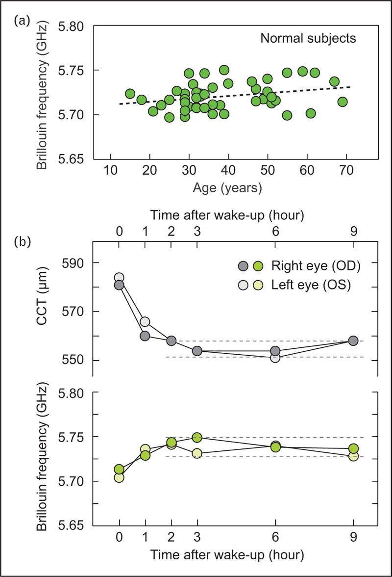 FIGURE 2