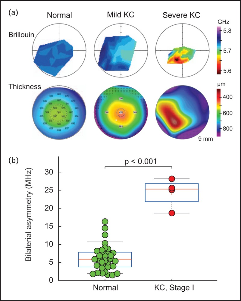 FIGURE 3