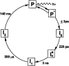 FIG. 2.