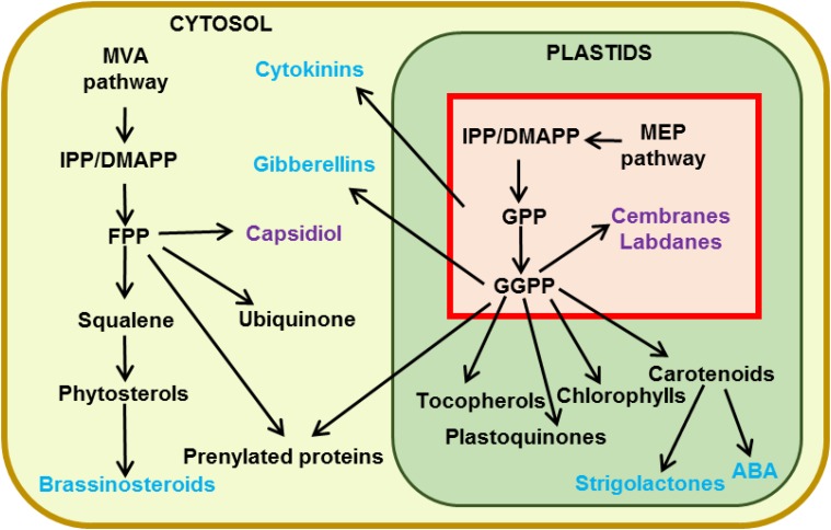 Figure 3.