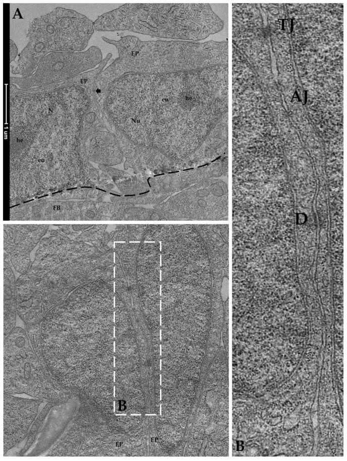 Figure 13