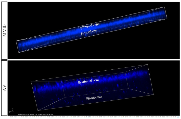 Figure 10