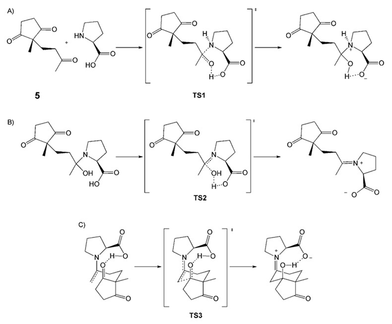 Scheme 12