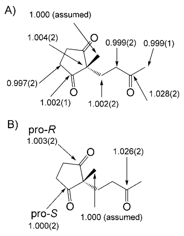 Scheme 11