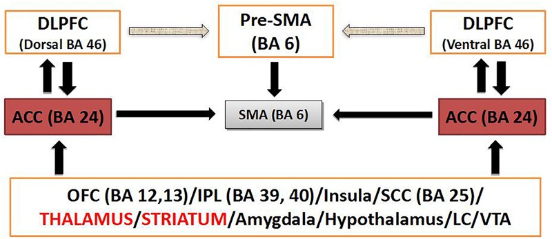 FIGURE 1