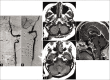 Figure 5: