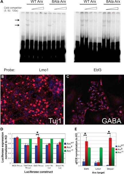 Figure 2.