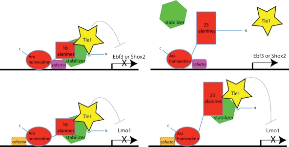 Figure 5.