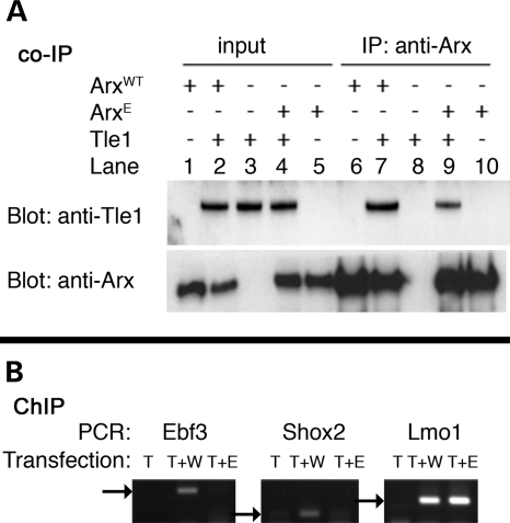 Figure 4.