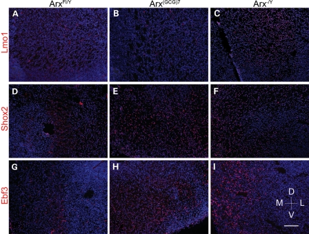 Figure 3.