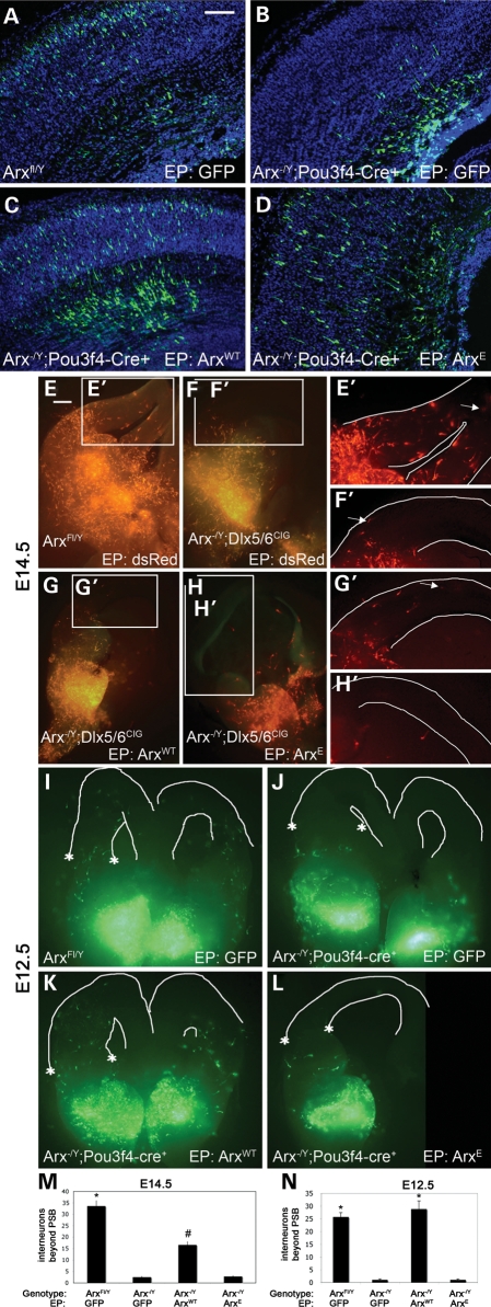 Figure 1.