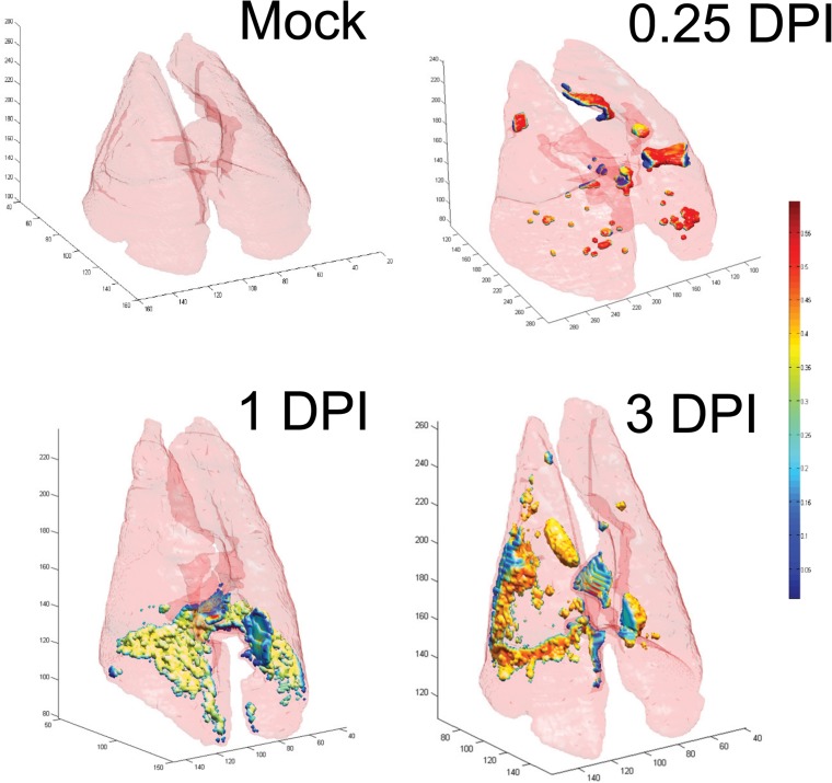 FIG 6