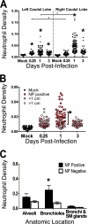 FIG 5